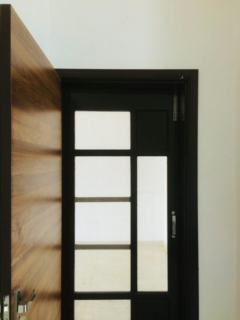 Glass door with black frame and glazing bars, inspiration for custom doors